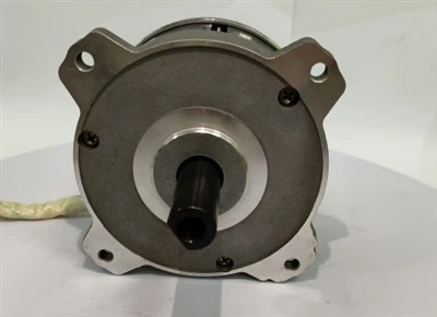 36V bez četkica DC motor